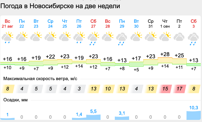 Фото Опубликован прогноз погоды на 1 сентября 2022 года в Новосибирске 3
